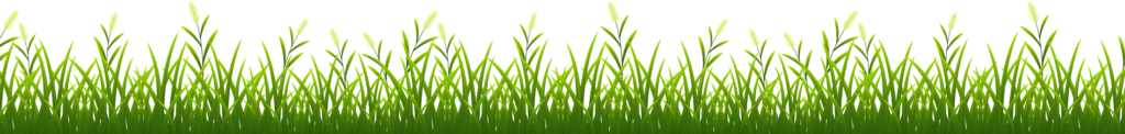 shapre-lawnshaper