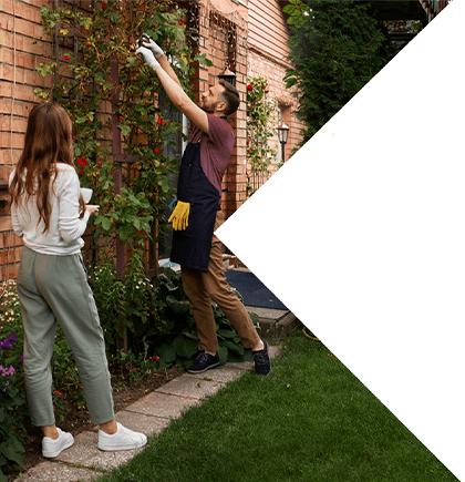Affordable gardening services Glenfield