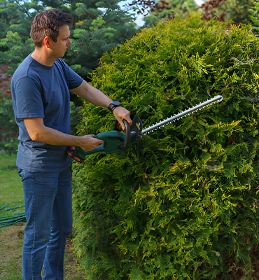 It was popularised in the 1960s with the release of Letraset sheets containing Lorem Ipsum passages