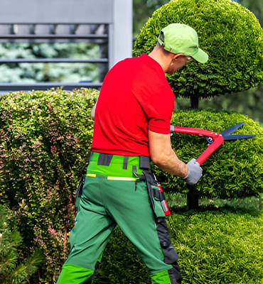 It was popularised in the 1960s with the release of Letraset sheets containing Lorem Ipsum passages