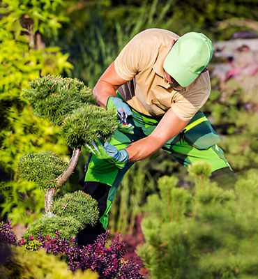 It was popularised in the 1960s with the release of Letraset sheets containing Lorem Ipsum passages