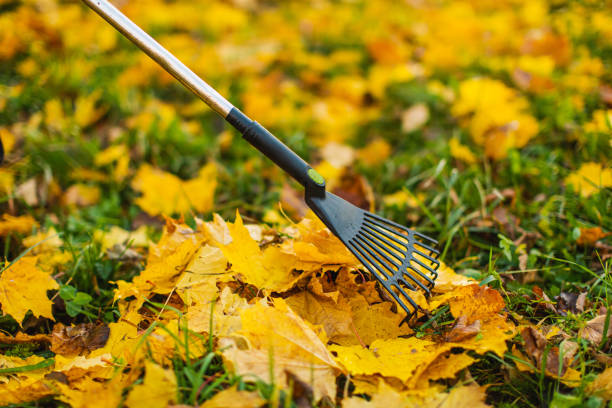 Cleaning & Maintenance Gardens