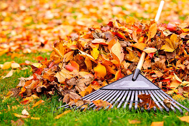 Garden maintenance Glenfield