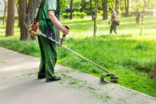 Garden maintenance Glenfield