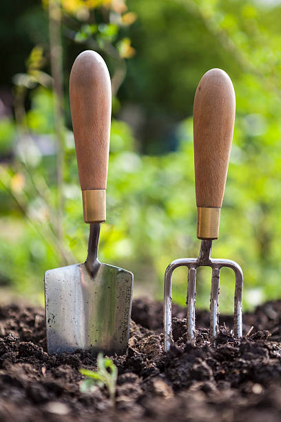 Gardening services North Shore Auckland