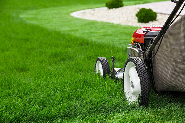Lawn mowing Glenfield
