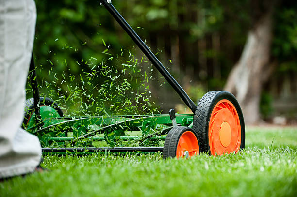 Lawn mowing Glenfield