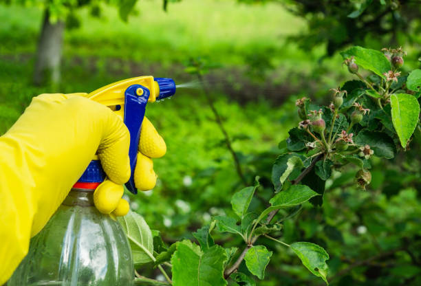 Pest & Disease Control
