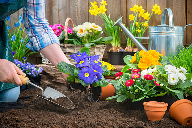 organic gardening near me