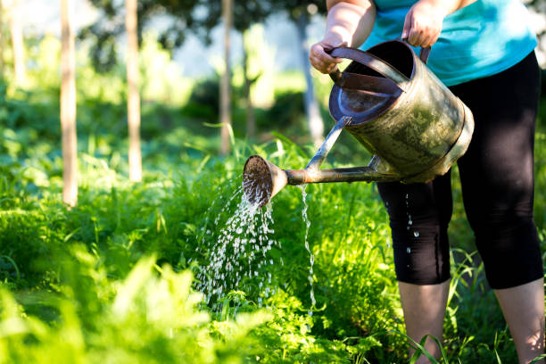 organic gardening services