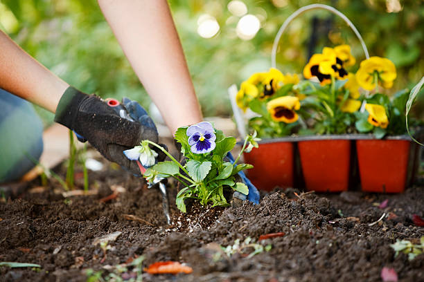 organic gardening