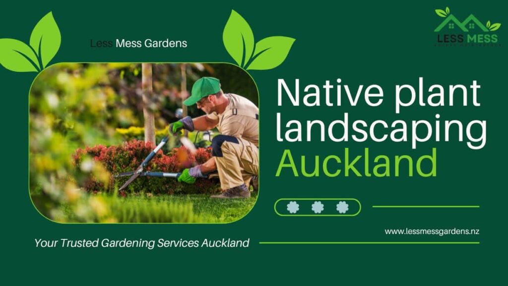 Native plant landscaping Auckland