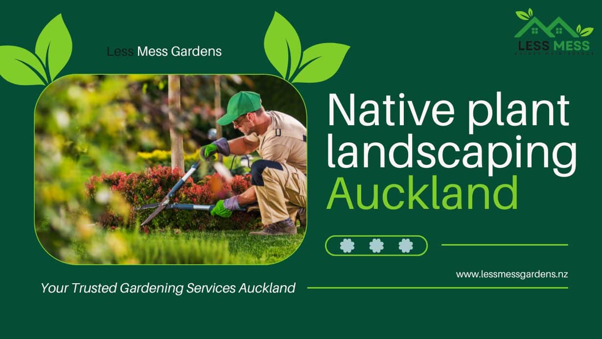 Native plant landscaping Auckland