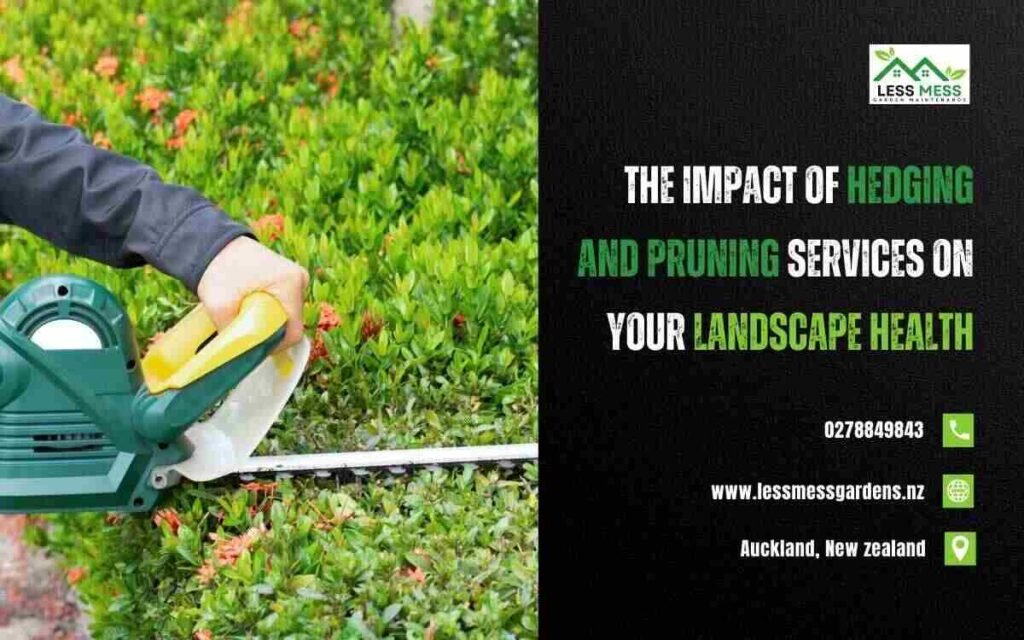 The Impact of Hedging and Pruning Services on Your Landscape Health