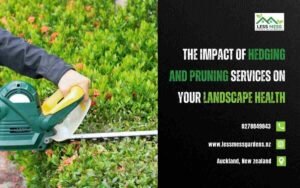 The Impact of Hedging and Pruning Services on Your Landscape Health