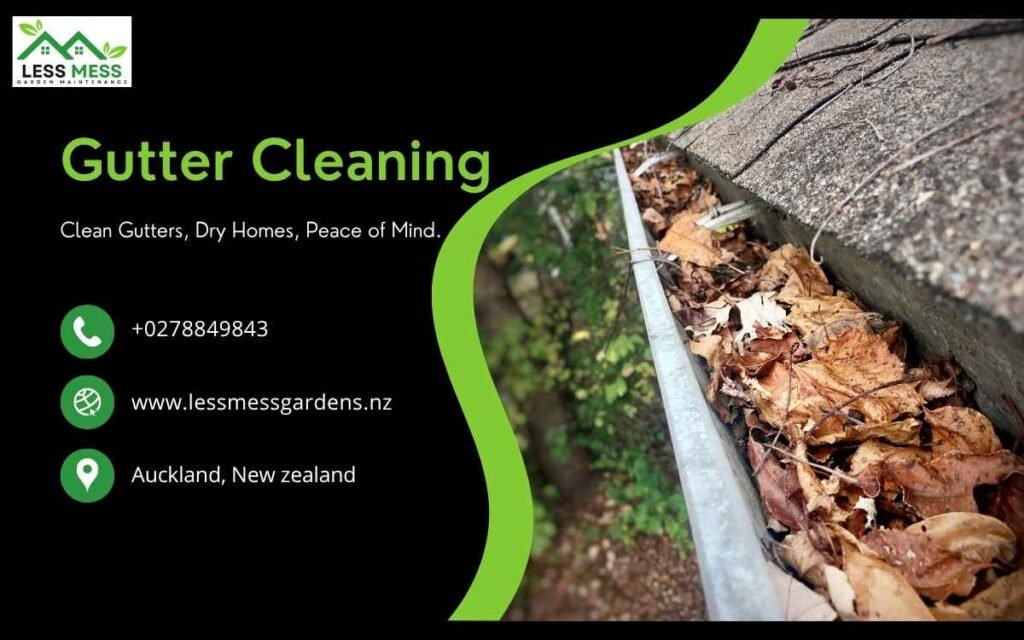 Gutter Cleaning