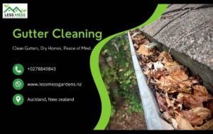 Gutter Cleaning