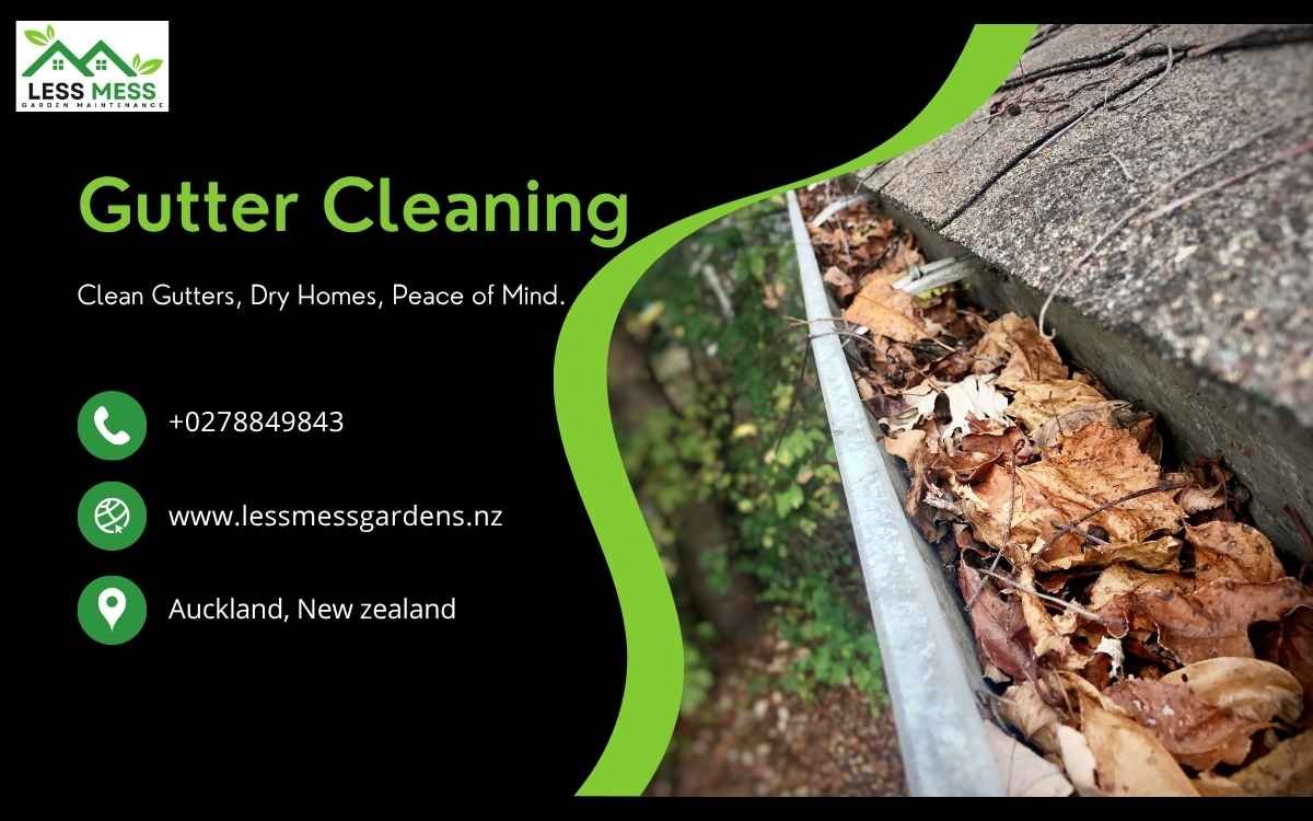 Gutter Cleaning