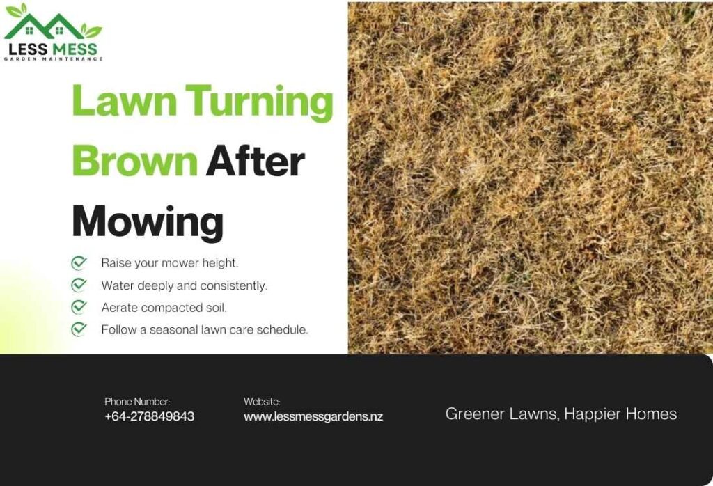 Lawn Turning Brown After Mowing
