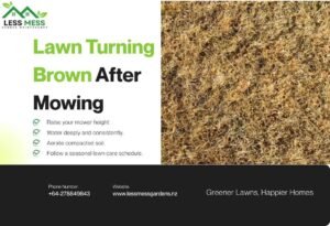 Lawn Turning Brown After Mowing