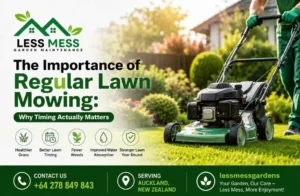 regular lawn mowing
